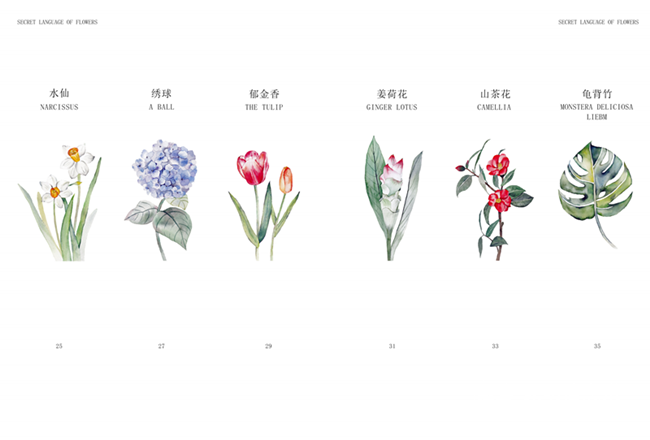 速視覺(jué)團(tuán)隊(duì)“采花集”繪本 (2)