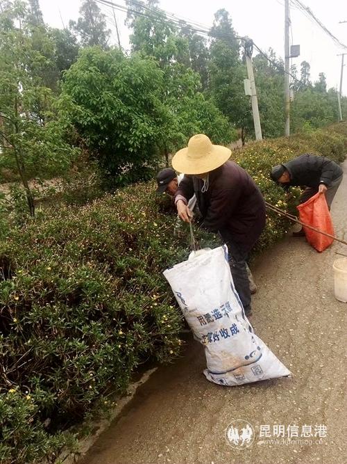 楊橋街道組織開(kāi)展“清五堆、治六亂”專(zhuān)項(xiàng)行動(dòng) (6)