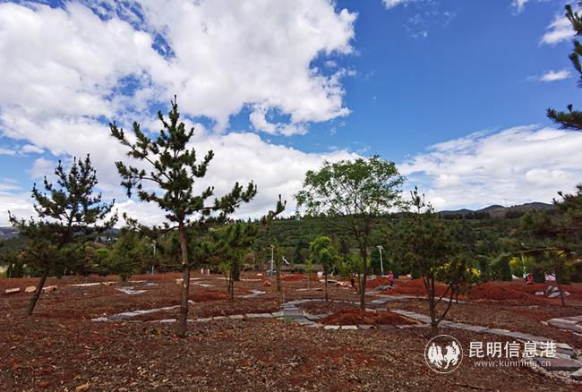 花卉產(chǎn)業(yè)園項目已初具雛形。記者薛江濤攝