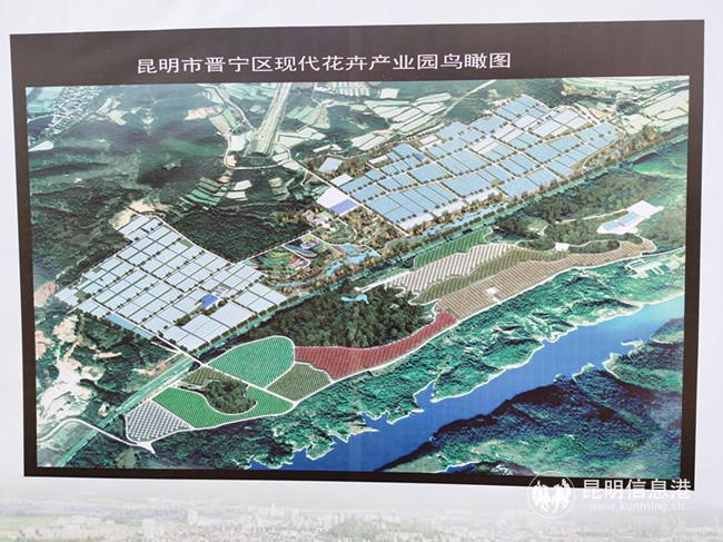 晉寧現(xiàn)代花卉產(chǎn)業(yè)園規(guī)劃圖。