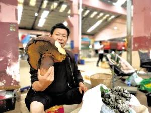 松茸降價(jià)十倍 紅牛肝菌80元/公斤！昆明20多種野生菌上市 快去“撿相因”