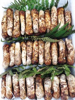 松茸降價(jià)十倍 紅牛肝菌80元/公斤！昆明20多種野生菌上市 快去“撿相因”