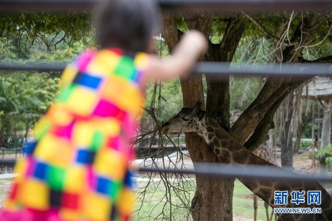 （國際疫情）（4）泰國動物園免費向民眾開放