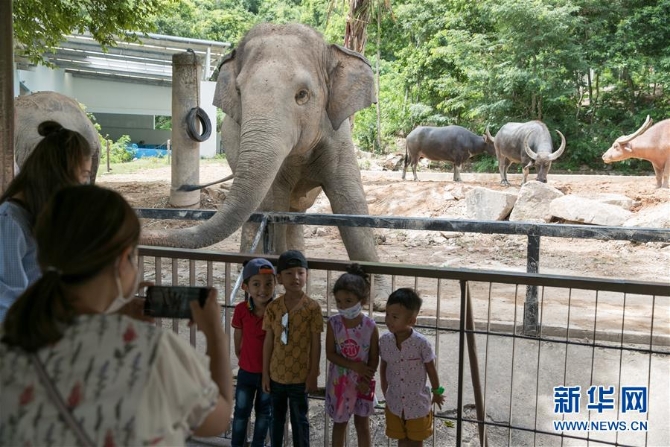 （國際疫情）（5）泰國動物園免費向民眾開放