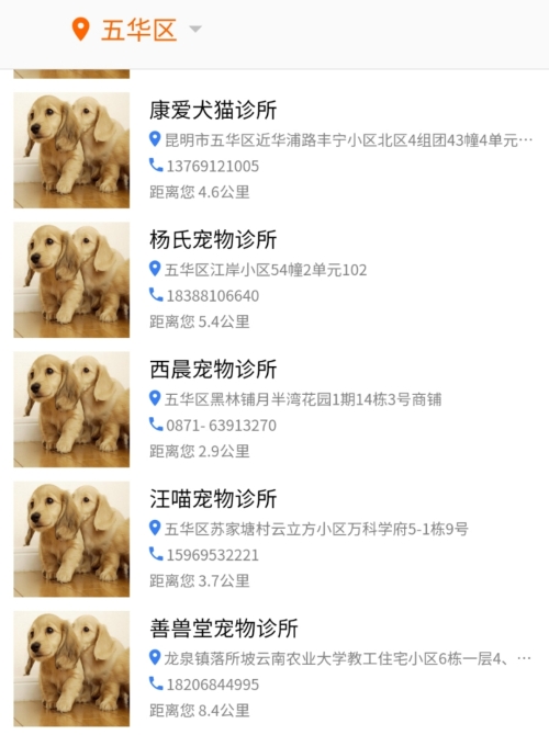 昆明養(yǎng)犬登記證可以在線申辦9.jpg