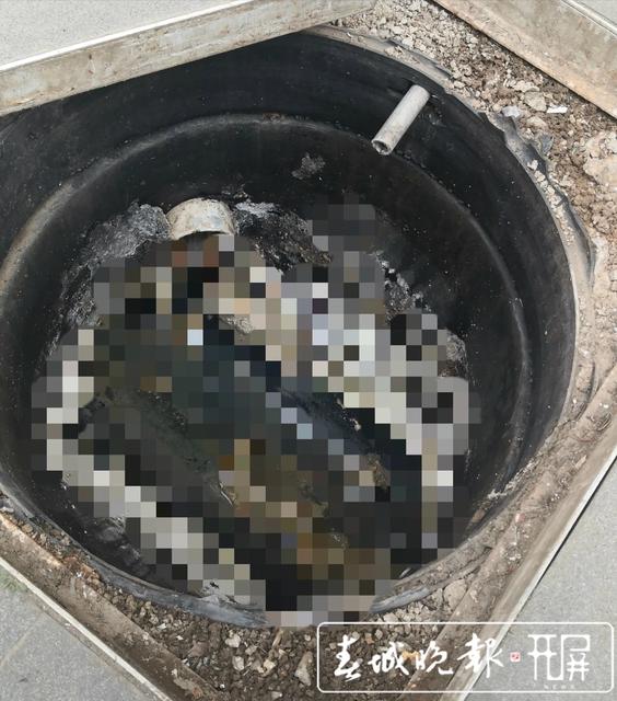昆明一小區(qū)住戶家中被污水兩次倒灌1.jpg