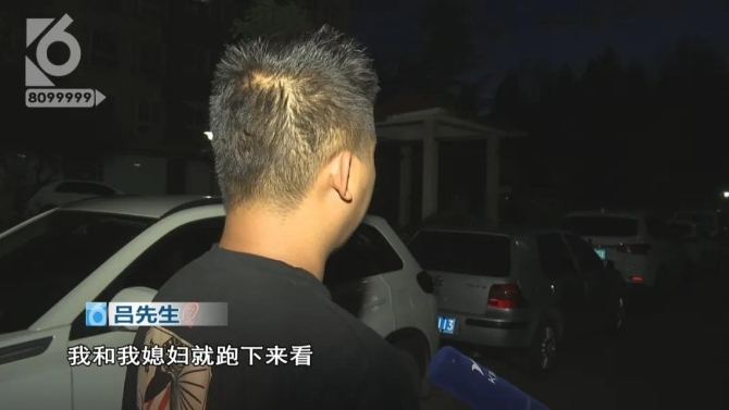 小狗院內(nèi)莫名身亡    主人懷疑“遭黑槍”