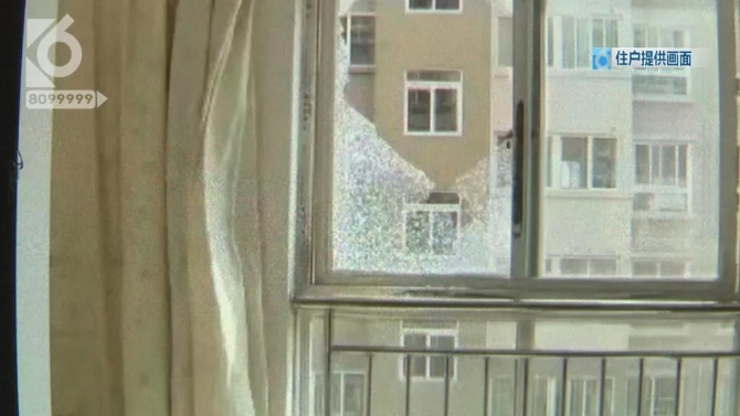 小狗院內(nèi)莫名身亡    主人懷疑“遭黑槍”