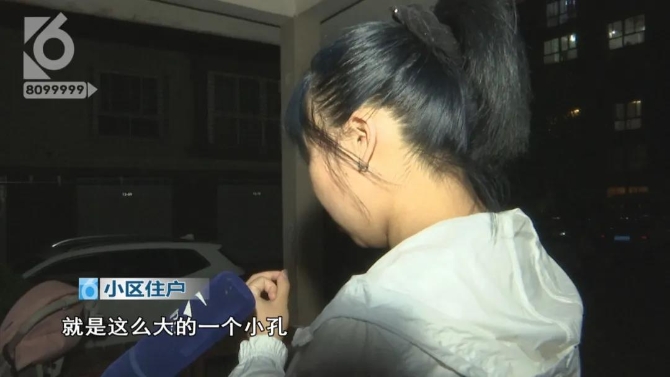 小狗院內(nèi)莫名身亡 主人懷疑“遭黑槍”