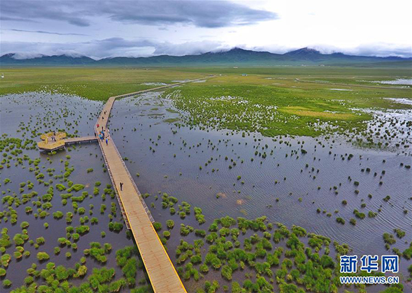 1126143618_15927874848331n 1126143618_15927874848331n