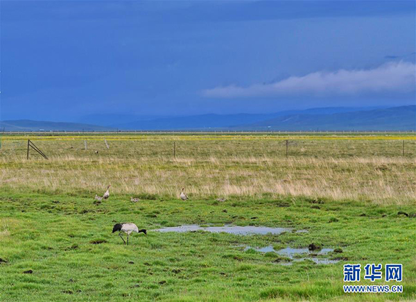 1126143618_15927874849241n 1126143618_15927874849241n