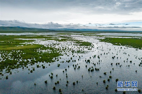 1126143618_15927874849781n 1126143618_15927874849781n