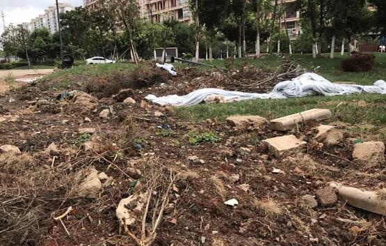 神操作！昆明一小區(qū)要將綠化帶改停車場？業(yè)主……