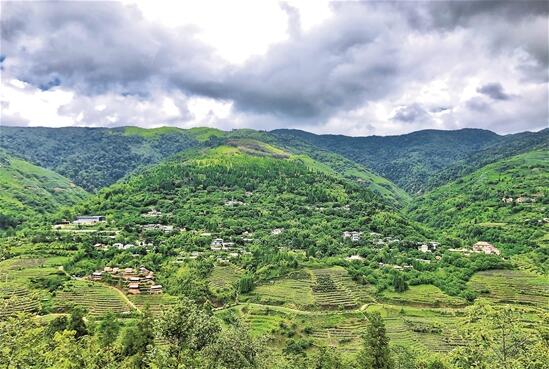 QQ截圖202006230834051 QQ截圖202006230834051