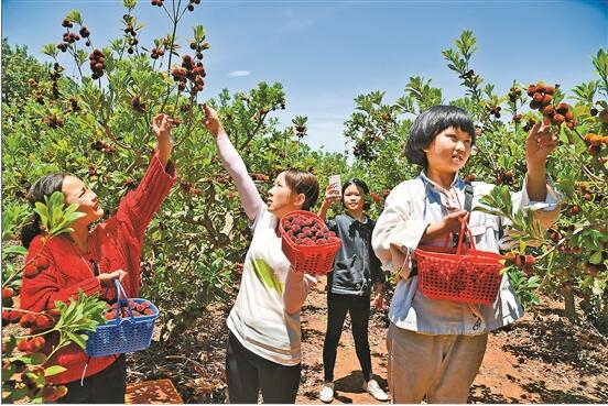 QQ截圖202006230842401 QQ截圖202006230842401