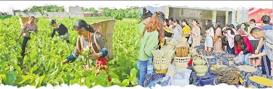 QQ截圖20200623091034 QQ截圖20200623091034