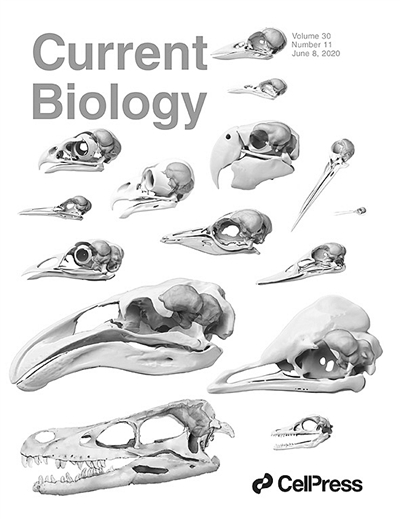 604037_zhangjy_1592803707273_b 604037_zhangjy_1592803707273_b