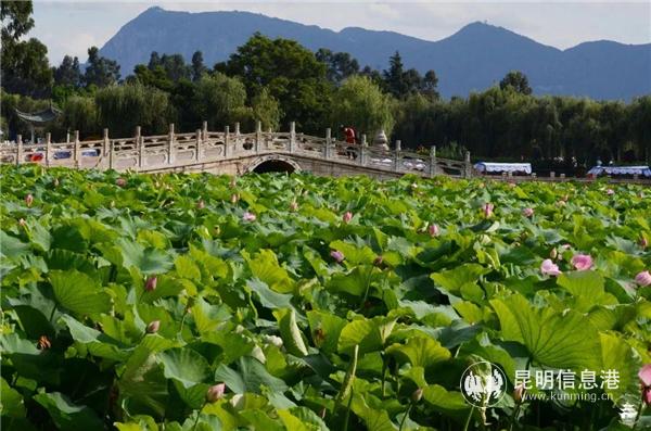 2013958172 2013958172