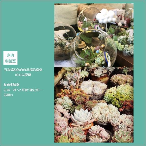 QQ截圖20200623160503 QQ截圖20200623160503