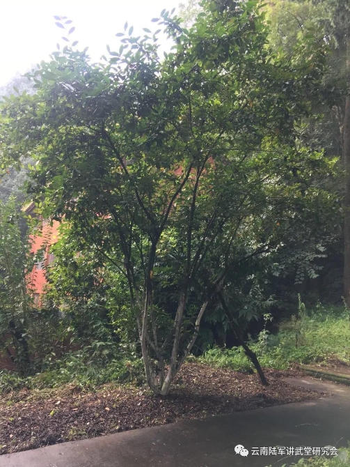 微信圖片_20200623204601