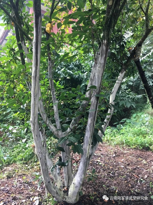 微信圖片_20200623204610