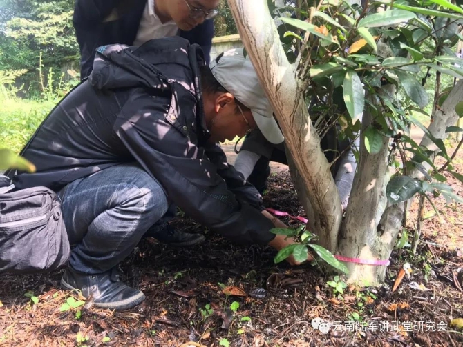 微信圖片_20200623204612