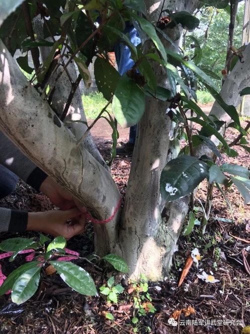 微信圖片_20200623204615