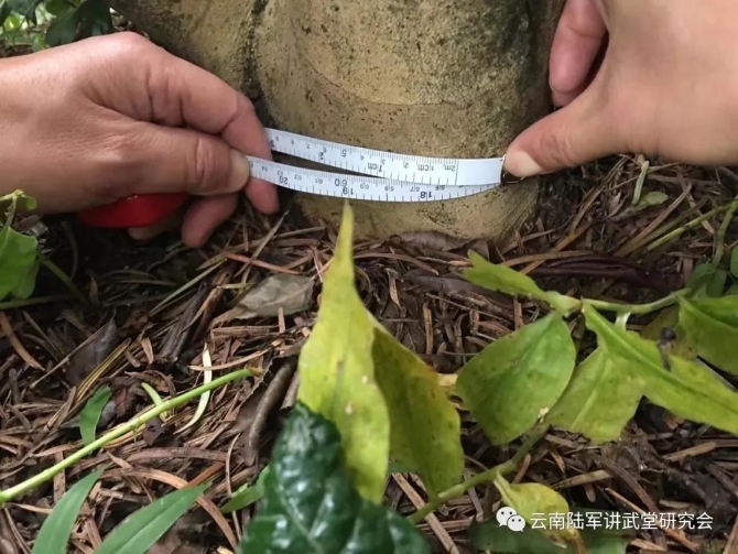 微信圖片_20200623204619