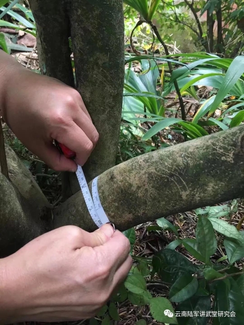 微信圖片_20200623204621