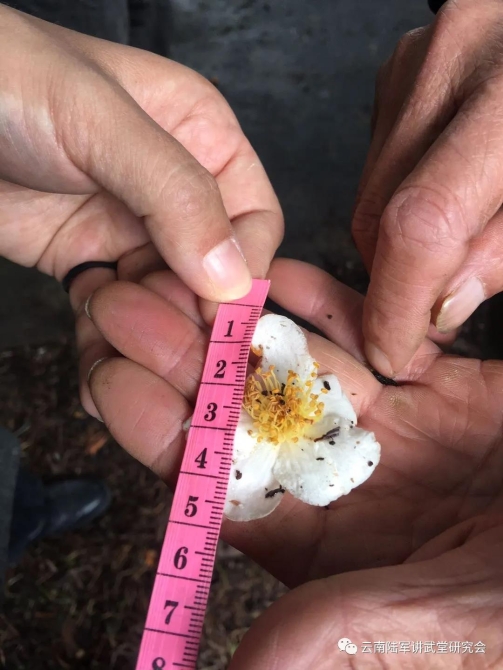 微信圖片_20200623204623