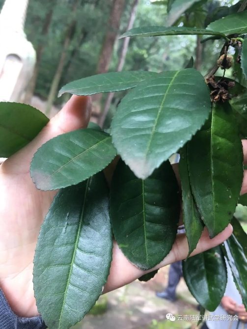 微信圖片_20200623204625