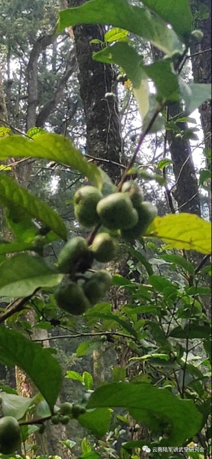 微信圖片_20200623204627