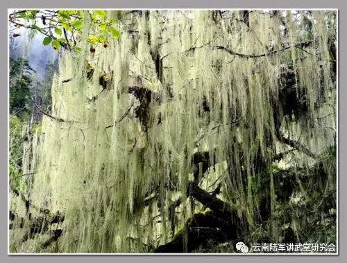 微信圖片_20200623204641