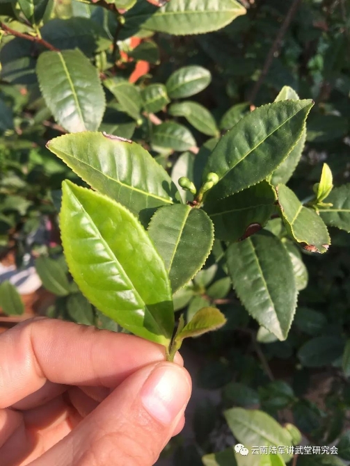 微信圖片_20200623204643