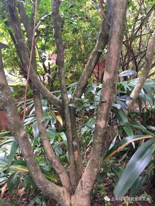 微信圖片_20200623204645