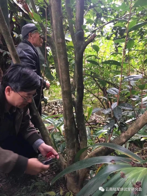 微信圖片_20200623204647