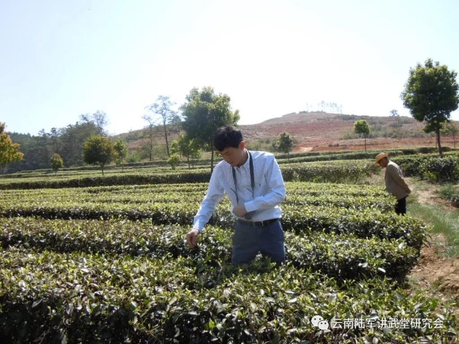 微信圖片_20200623205552 微信圖片_20200623205552