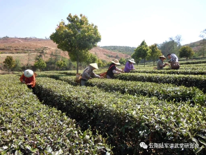 微信圖片_20200623205559 微信圖片_20200623205559