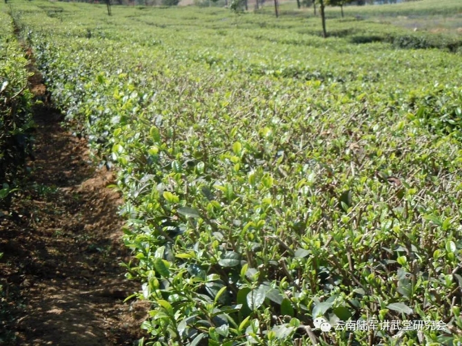 微信圖片_20200623205602 微信圖片_20200623205602