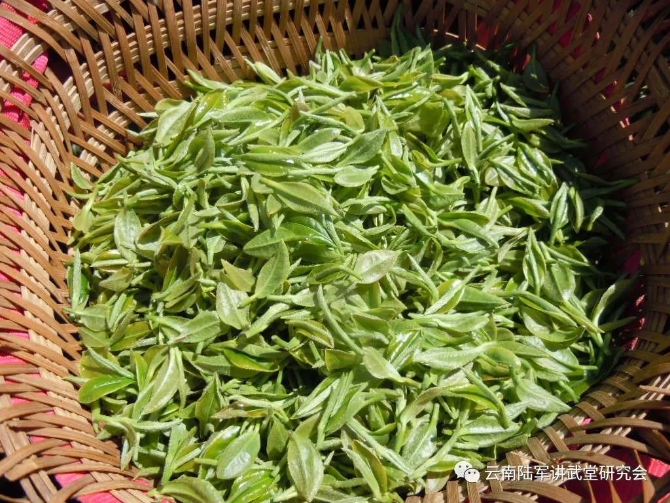 微信圖片_20200623205604 微信圖片_20200623205604