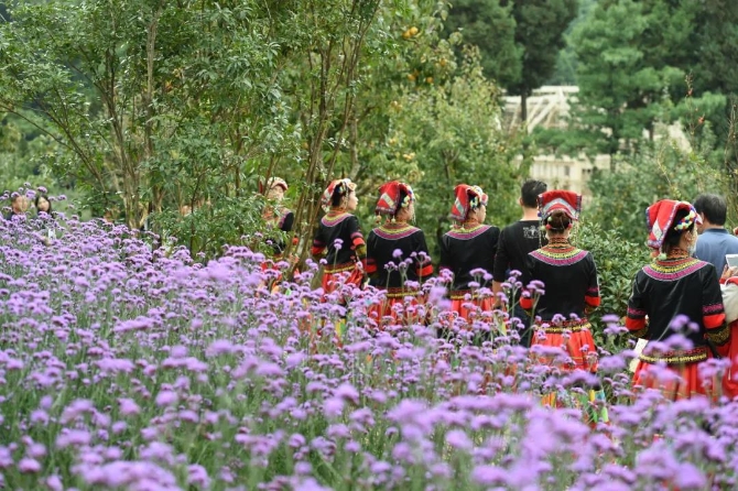 微信圖片_20200623211337 微信圖片_20200623211337