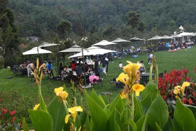 微信圖片_20200623211342 微信圖片_20200623211342