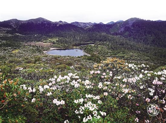 QQ截圖20200622092835.jpg QQ截圖20200622092835.jpg