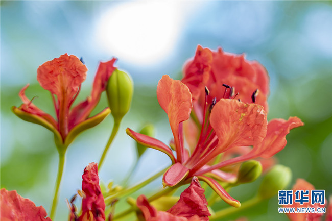 51_副本.jpg 51_副本.jpg