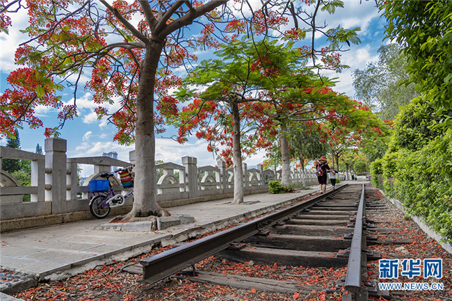 52_副本.jpg 52_副本.jpg