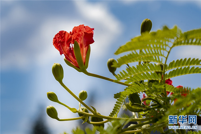 53_副本.jpg 53_副本.jpg