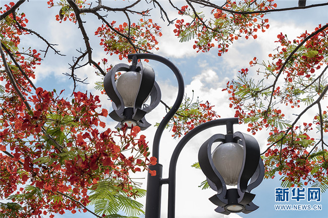 55_副本.jpg 55_副本.jpg