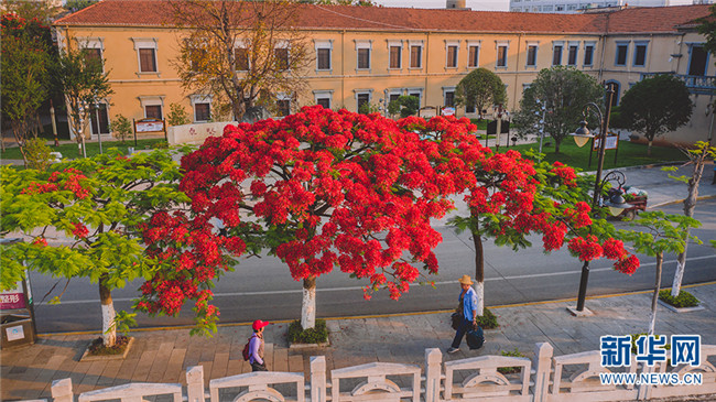 56_副本.jpg 56_副本.jpg