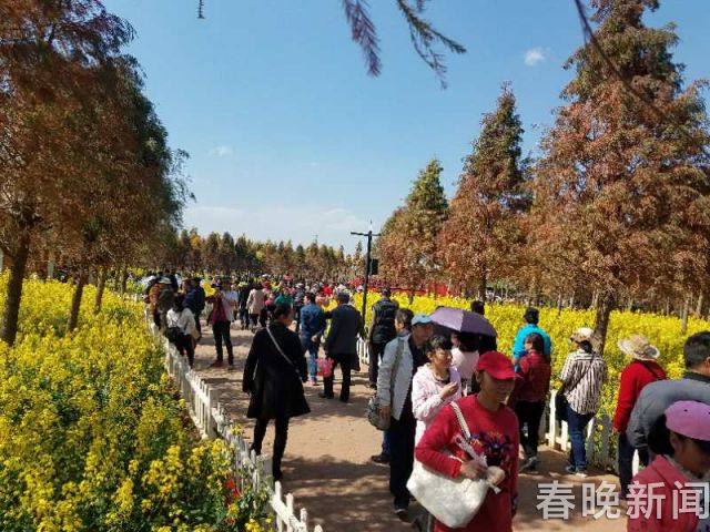 撈漁河濕地公園扮靚滇池