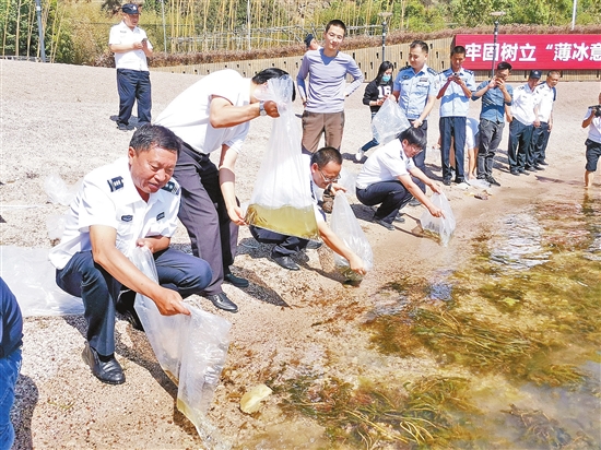 2020062406_res23_attpic_brief 2020062406_res23_attpic_brief